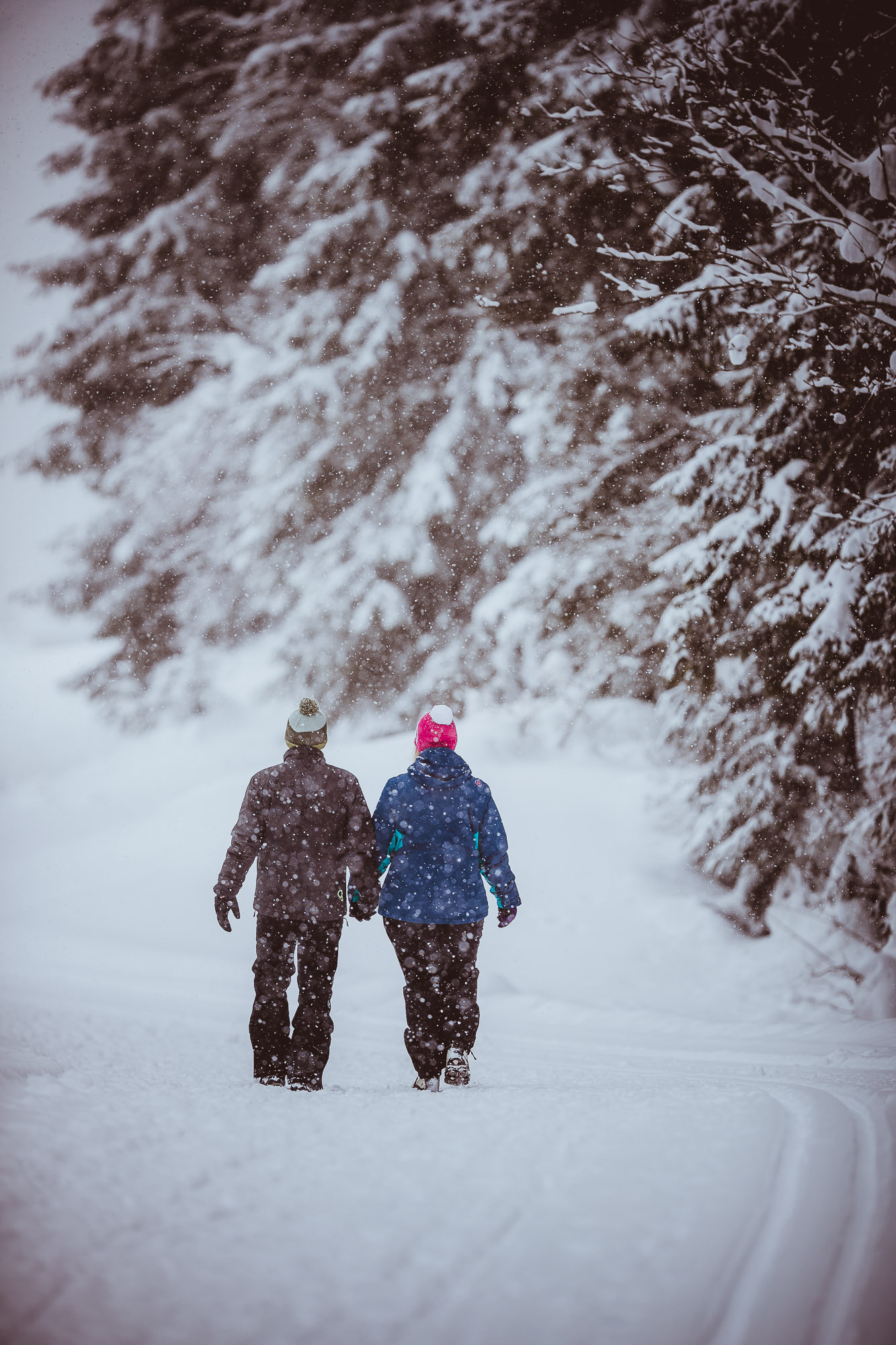 Export x3 1DX28982 Verlobungsfotoshooting 2018 Anna & Dominik